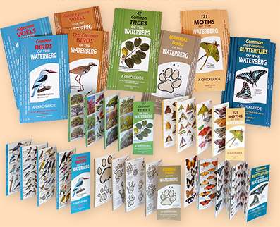Trees & Shrubs of the Waterberg